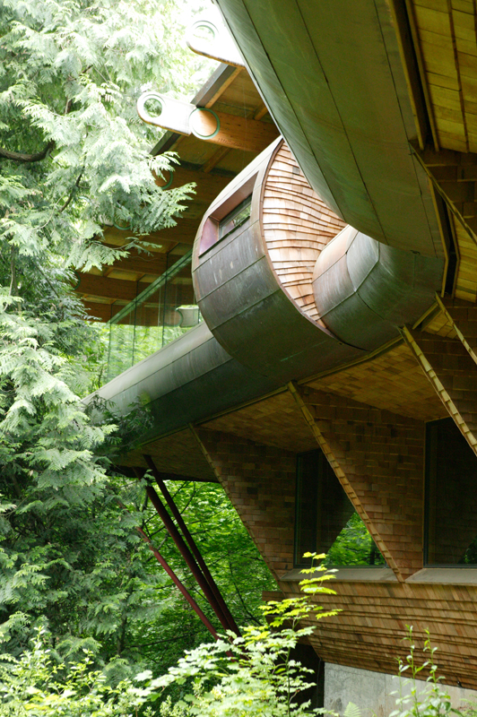 Unusual Forest Home