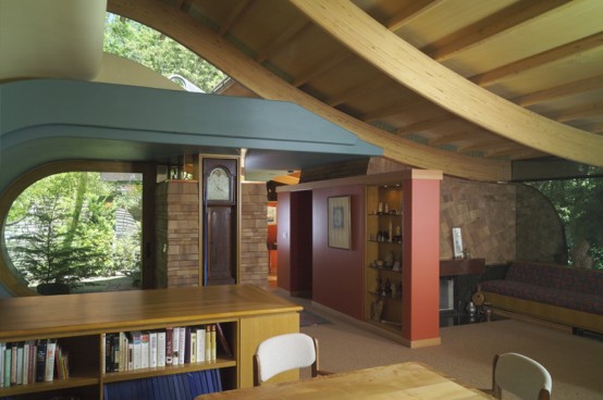 Unusual Forest Home