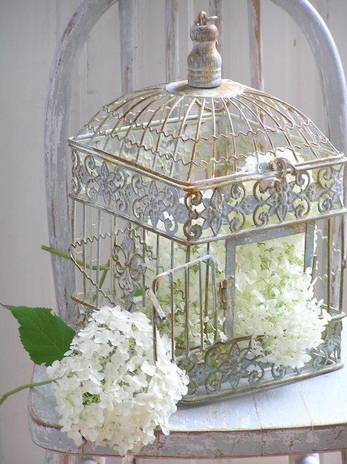 Using Bird Cages For Home Decor Beautiful Ideas