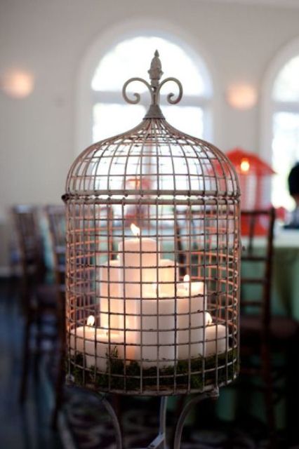 Using Bird Cages For Home Decor Beautiful Ideas