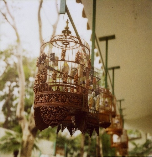 Using Bird Cages For Home Decor Beautiful Ideas