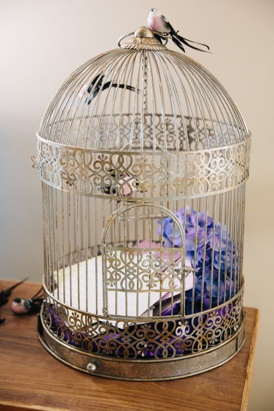 Enrichment ideas for small caged birds