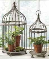Using Bird Cages For Home Decor Beautiful Ideas