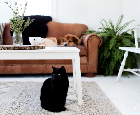 Warm And Comfy Nest With Cozy Touches