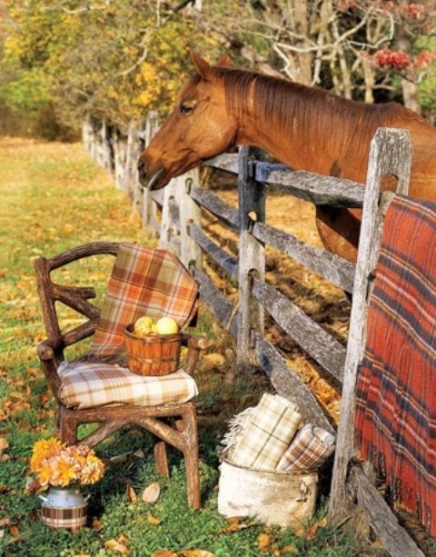 offer plaid blankets to your guests to make them warm and cozy and to remind that Thanksgiving is a lovely family holiday