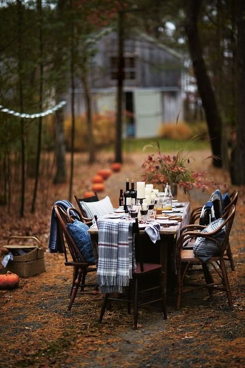 offer plaid blankets to your guests and they will feel warm and cozy at the table and will enjoy your Thanksgiving party a lot