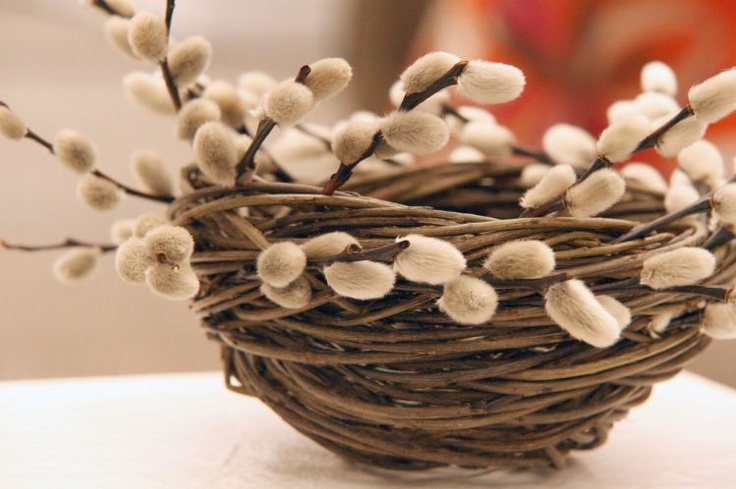 a fake bird nest covered with willow is a cute decoration for Easter or just for spring