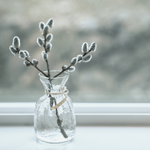 a clear vase with some willow is a simple and minimal natural decoration for a spring home