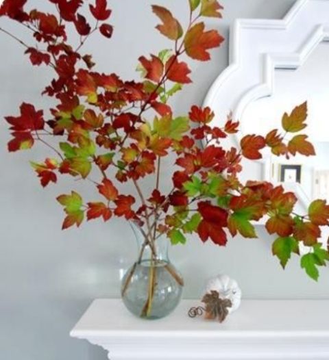 an arrangement of branches with bright fall leaves in a clear vase is a timeless decoraiton that can be created in no time