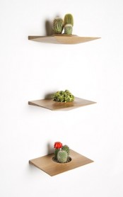 Wooden Pots For Placing On The Walls