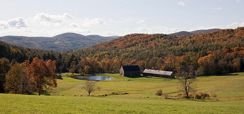Woodstock Farm